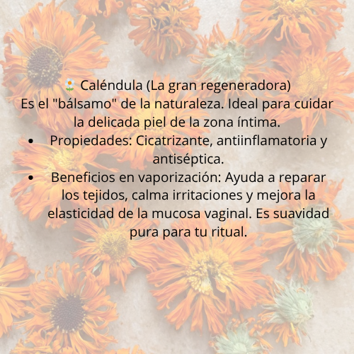 Vaporización ritual suelo sagrado (suelo pélvico )