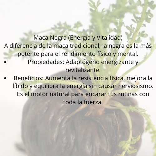 Combo renacer trilogía fungi/adaptogenos 🔥