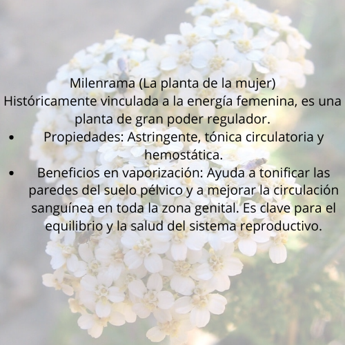 Vaporización ritual suelo sagrado (suelo pélvico )
