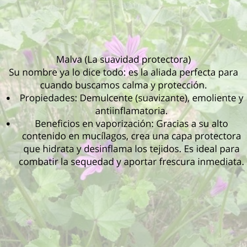 Vaporización ritual suelo sagrado (suelo pélvico )