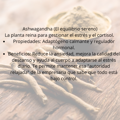 Combo renacer trilogía fungi/adaptogenos 🔥
